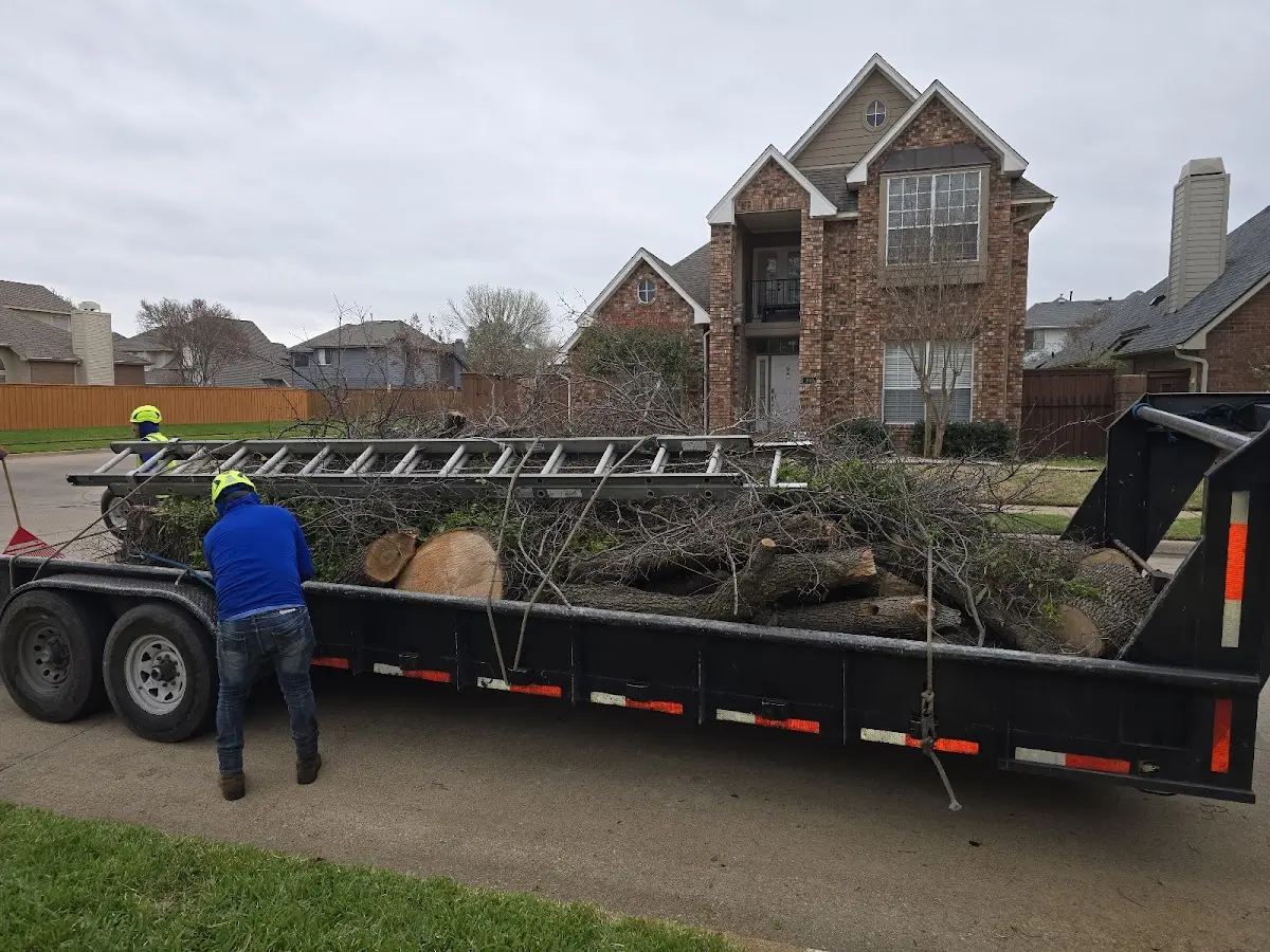 Expert Lot Clearing with proper safety equipment in Jacksonville